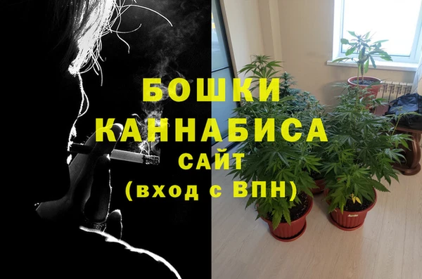 СК Горняк