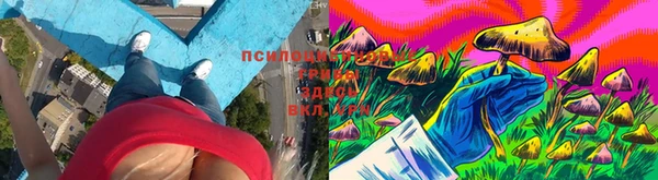 СК Горняк