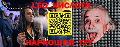 стаф Кингисепп