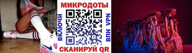 Галлюциногенные грибы Psilocybe  хочу   Назарово 