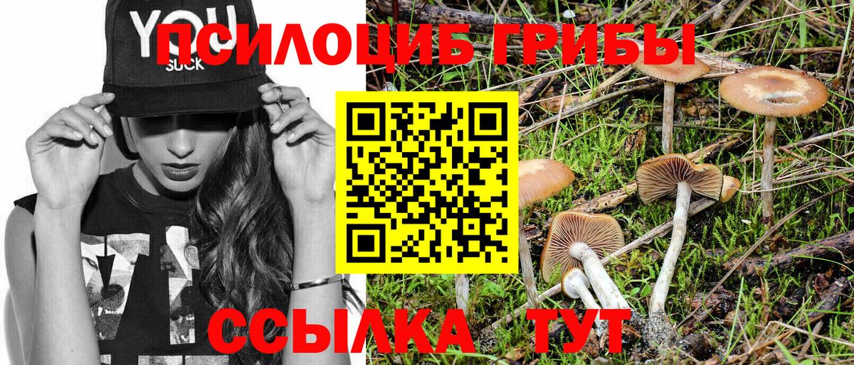 Псилоцибиновые грибы Cubensis  Назарово 